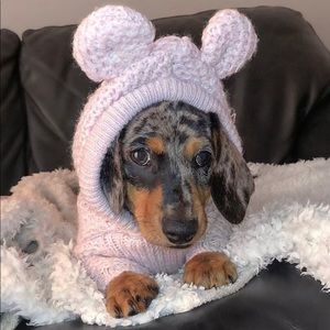 Meet your Posher, Ally